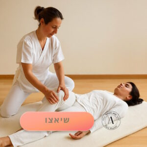 טיפול שיאצו